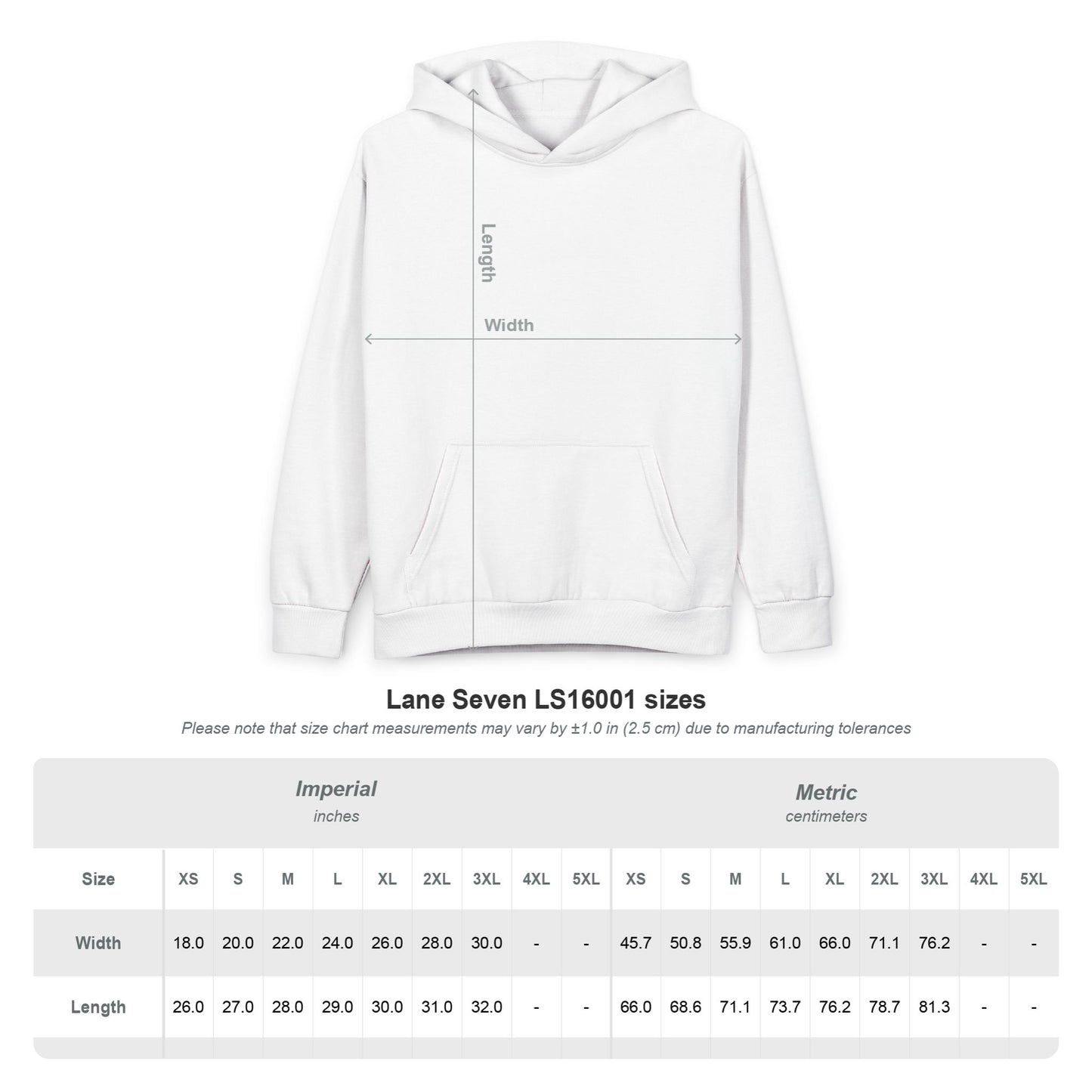 Nashnif Comics Logo Graphic Hoodie